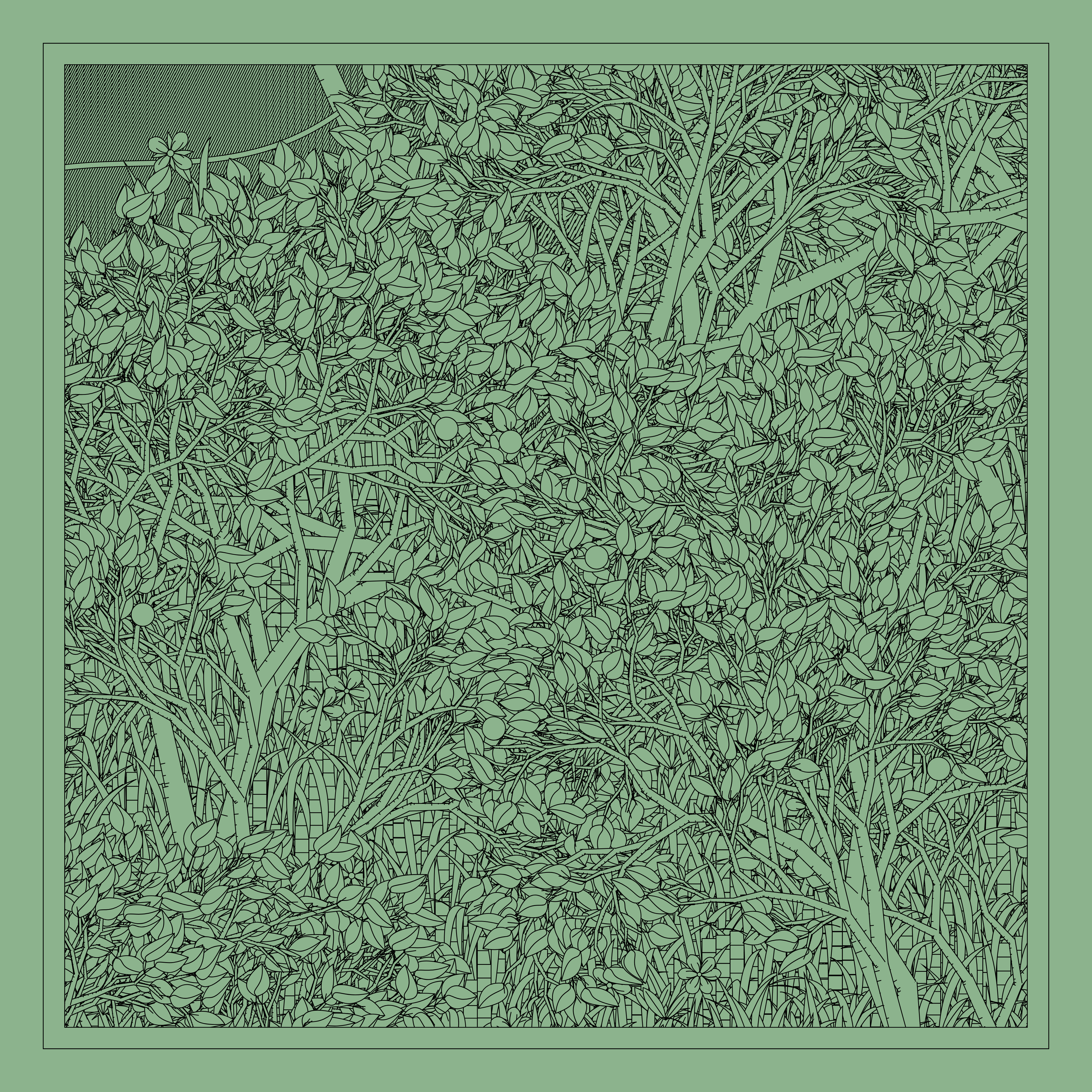 Entangled #145
